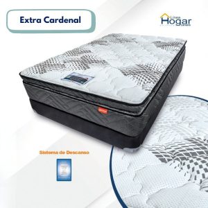 Extra Cardenal Individual