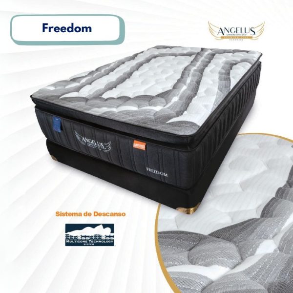 Freedom Individual